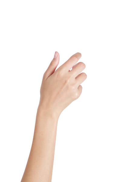 Woman's hand holding something empty back side, isolated on white background.