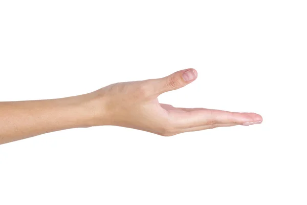 Woman S Hand Holding Something Empty Front Side Isolated On White Background Arm Bare Hands Stock Photo