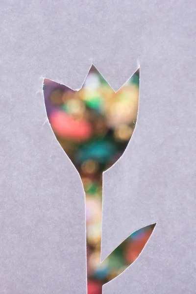 Forma de tulipán cortado de un papel con un fondo colorido —  Fotos de Stock