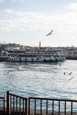 Martıların Denizi sularının uçmak