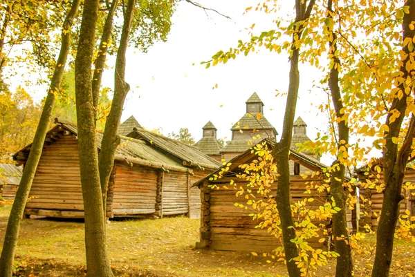 Chalet rural ukrainien traditionnel avec un toit en paille — Photo