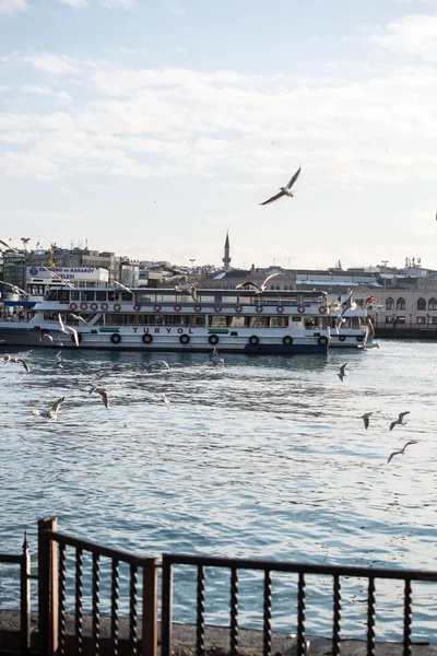 Les mouettes survolent les eaux de la mer — Photo