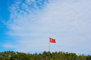 Türk ulusal bayrağı 