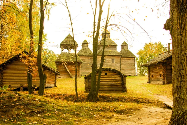 Traditionelles ukrainisches Bauernhaus mit Strohdach — Stockfoto