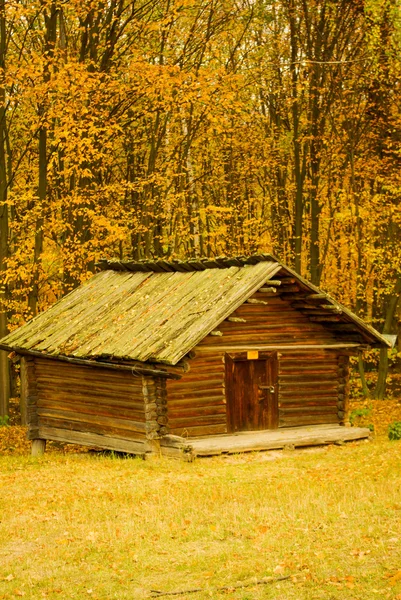Geleneksel Ukrayna kırsal yazlık hasır çatılı