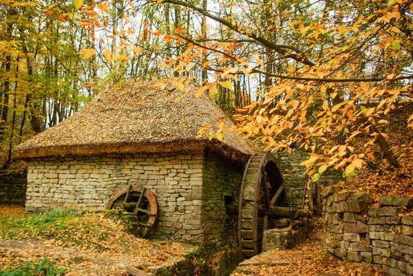 Водяная мельница Украины — стоковое фото