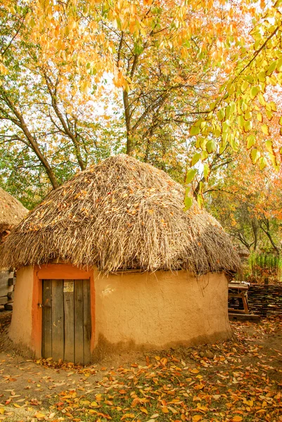 Традиционный украинский сельский коттедж с соломенной крышей — стоковое фото