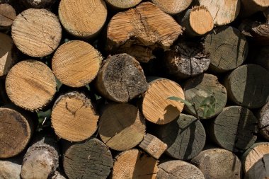 Yığın yığın günlükleri