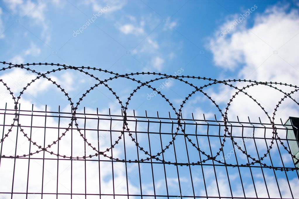 Coiled Razor Wire On Top Of A Fence