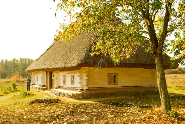 Traditionelles ukrainisches Bauernhaus mit Strohdach — Stockfoto