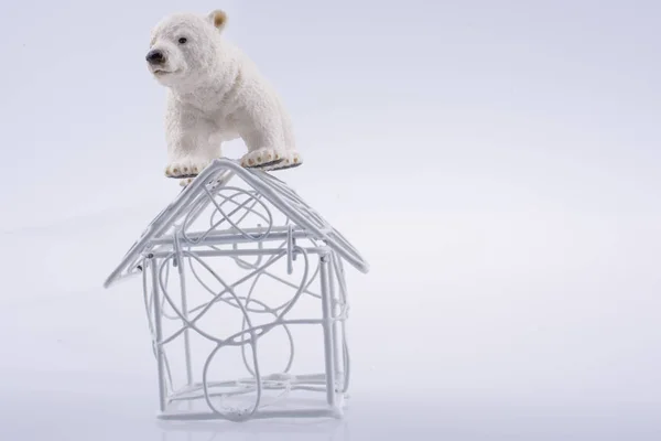 Polar oso cachorro en el techo thee — Foto de Stock