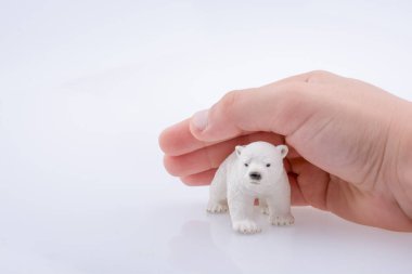 Bir kutup ayısı holding