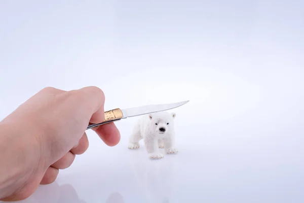 Hand is threatening a Polar bear with a knife — Stock Photo, Image