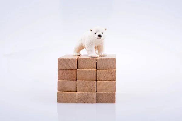 El oso polar está en los bloques de toros — Foto de Stock