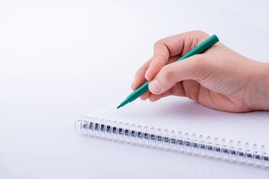 Bir deftere el yazısı