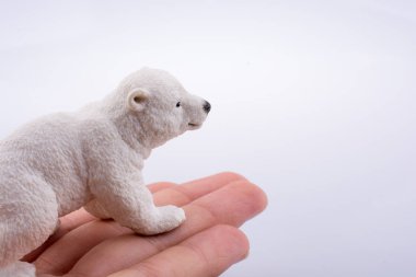 Bir kutup ayısı holding