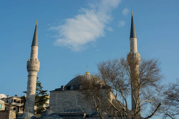 Yalnız kuş doğal ortamda yaşar.