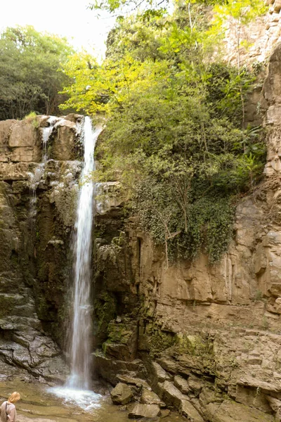 フォレストにある美しい小さな滝 — ストック写真