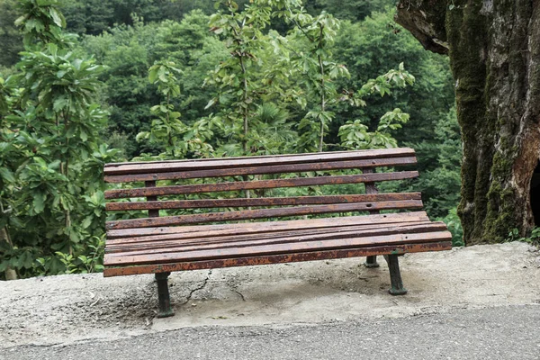 Banco del parque de madera en un parque —  Fotos de Stock