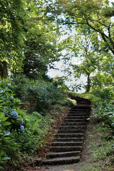 Escadaria em uma colina no parque botânico — Fotografia de Stock