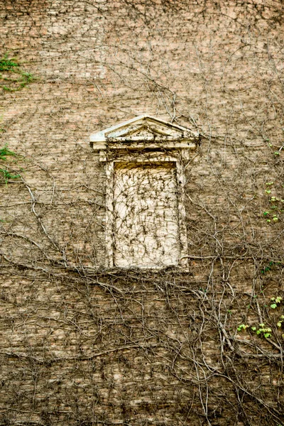 Old window Architecture from Georgia — Stock Photo, Image