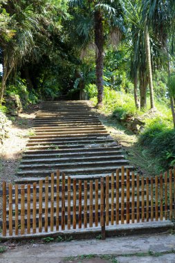 Botanik parkta bir tepe üzerinde merdiven
