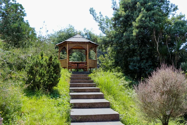 Treppe auf einem Hügel im Botanischen Park — Stockfoto