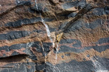 Doku kayalık yakından 