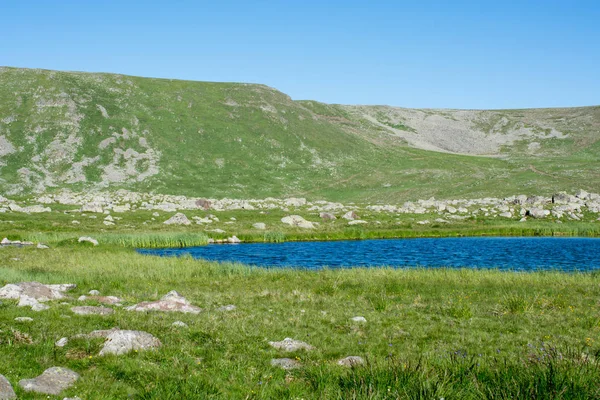 Artvin-zöld természetes háttér Highland tó — Stock Fotó