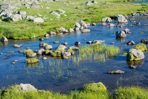 アルトビンの緑の自然な背景の高原の湖 — ストック写真