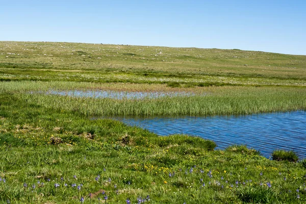 Highland sjö i grön naturliga bakgrund i Artvin — Stockfoto