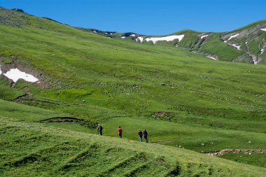 Arkadaşlar bir gezi alarak 