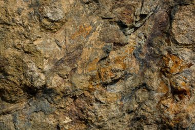 Doku kayalık yakından 