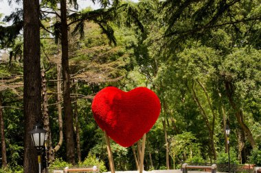 Yalnız kuş doğal ortamda yaşar.