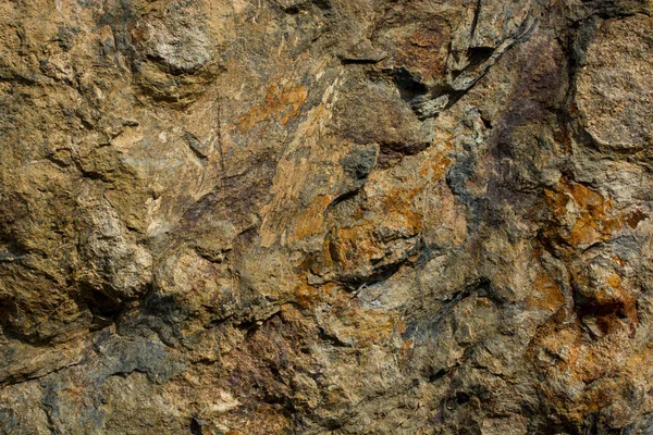 Doku kayalık yakından 