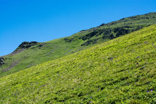 Πράσινο βοσκής στα βουνά κατά τη διάρκεια της θερινής περιόδου — Φωτογραφία Αρχείου