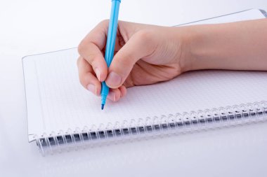 Bir deftere el yazısı