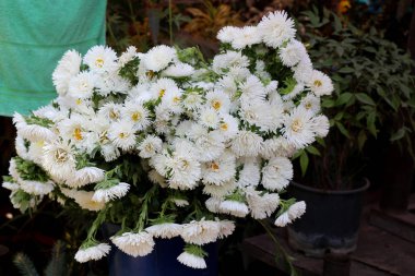 Güzel papatya çiçekler Buket 