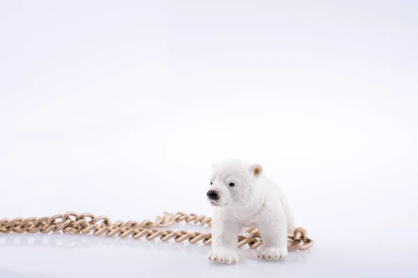 Πολική αρκούδα σκύμνος και αλυσίδα — Φωτογραφία Αρχείου