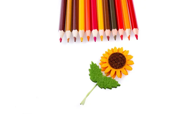Barevné tužky a umělými květinami — Stock fotografie