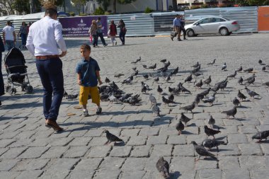 Yalnız kuş doğal ortamda yaşar.