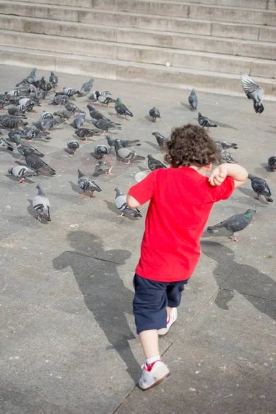 Yalnız kuş doğal ortamda yaşar.