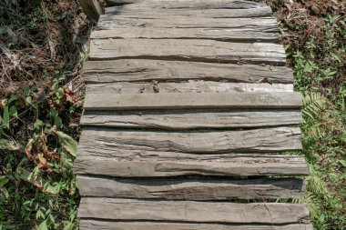 Ağaç şort yapılmış ahşap merdiven