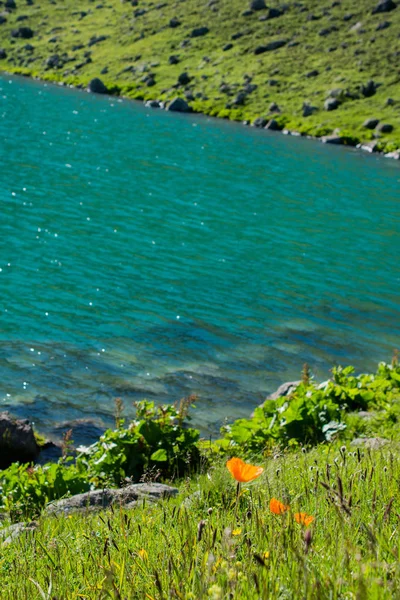 Lac des Highlands en arrière-plan naturel vert à Artvin — Photo