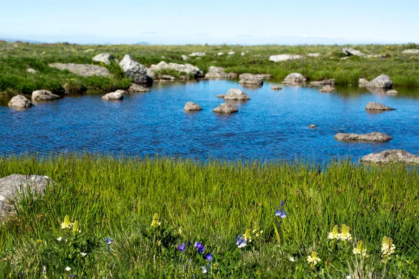 Highland jezioro w zielone tło naturalne w Artvin — Zdjęcie stockowe