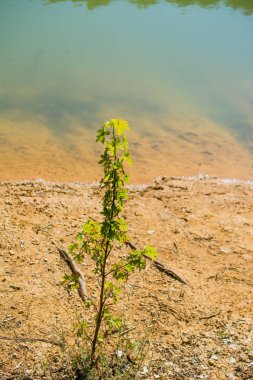 Kirli çamurlu su arka plan