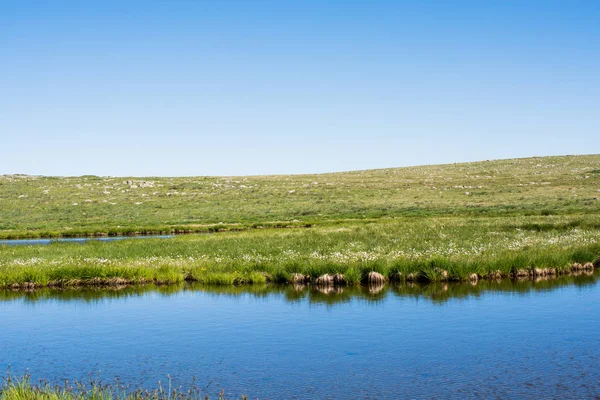 Zöld fű a tó mellett — Stock Fotó