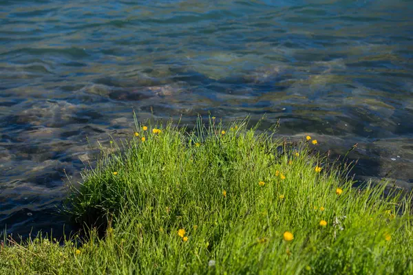 Hochlandsee im grünen natürlichen Hintergrund in artvin — Stockfoto