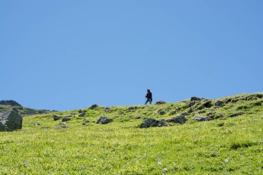 Genç adam bir gezi alarak 