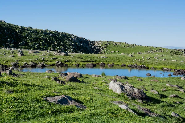 Ορεινή λίμνη σε πράσινο φόντο φυσικά σε Artvin — Φωτογραφία Αρχείου